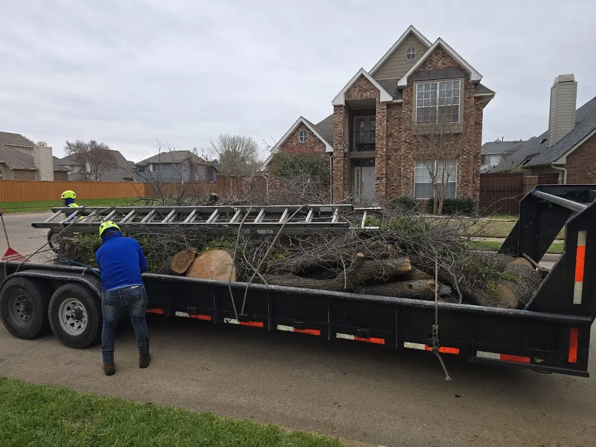 Expert Tree Pest Control with proper safety equipment in Etoile